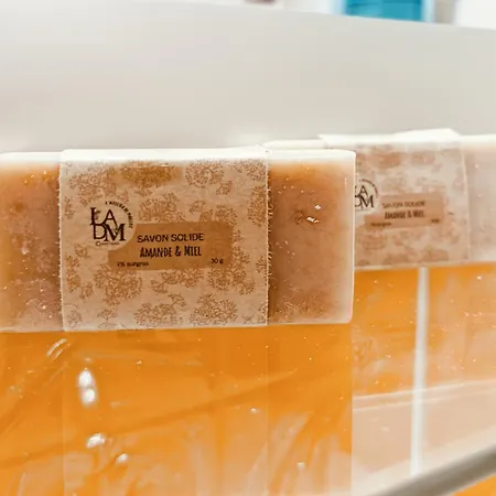 Le Griou Aux Pieds Sur Les Pistes, 8pers, Cœur Station, Le Lioran Appartement