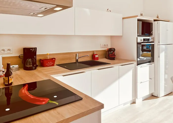 Le Griou Aux Pieds Sur Les Pistes, 8pers, Coeur Station, Le Lioran *