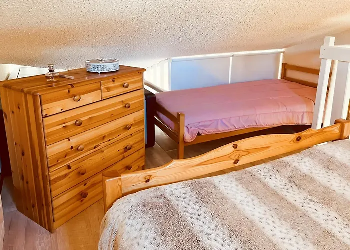 Le Griou Aux Pieds Sur Les Pistes, 8pers, Coeur Station, Le Lioran *